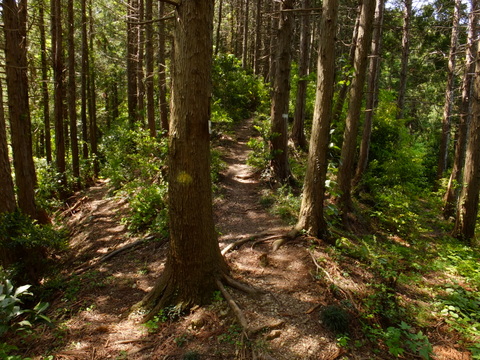 b0281732_8415683.jpg