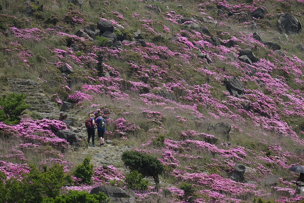 d0004832_18135832.jpg