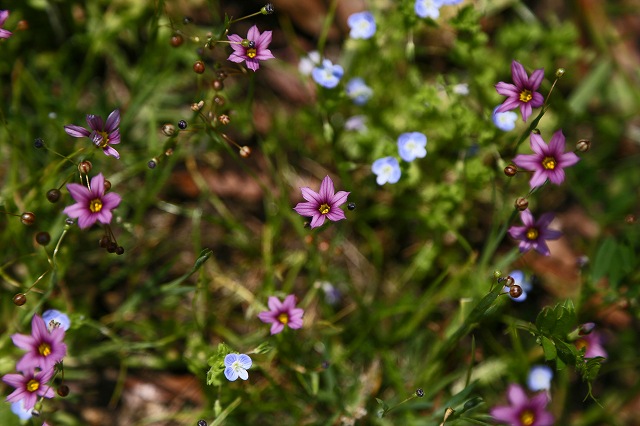a0242438_19293081.jpg