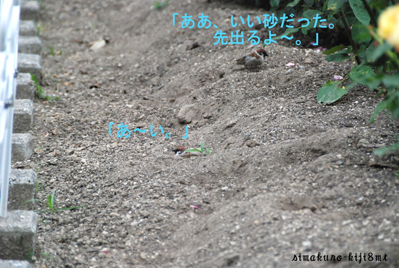 f0247039_11514967.jpg
