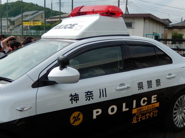 a0048040_96843.jpg