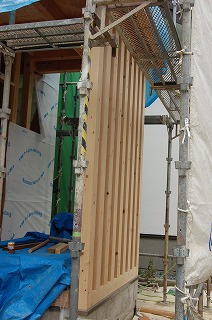 b0082242_8162071.jpg