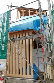 b0082242_8163145.jpg