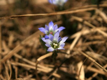 e0007544_09940.jpg
