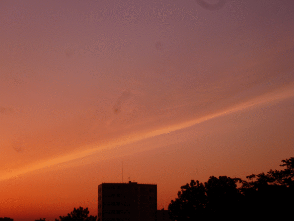 a0193457_20201100.gif