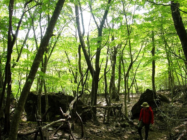 c0119160_20552633.jpg