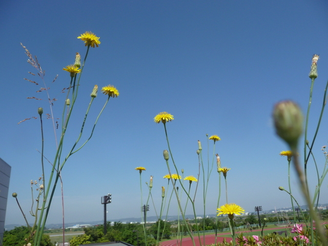 f0208760_8235736.jpg