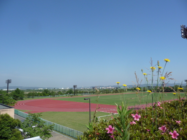 f0208760_8242686.jpg