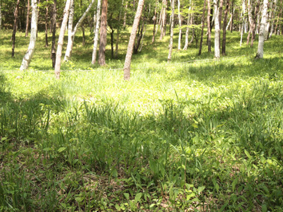 c0011862_20152972.jpg