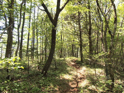 c0011862_20155068.jpg