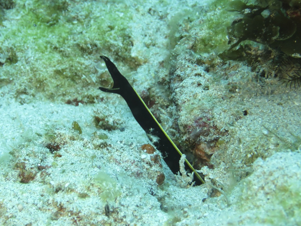 b0062363_6554880.jpg