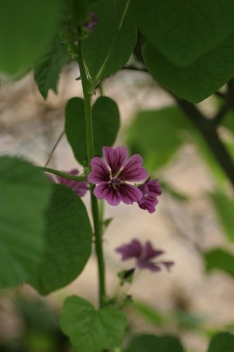c0186463_1740157.jpg