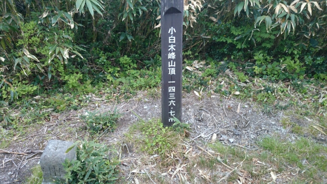 f0223068_19182930.jpg