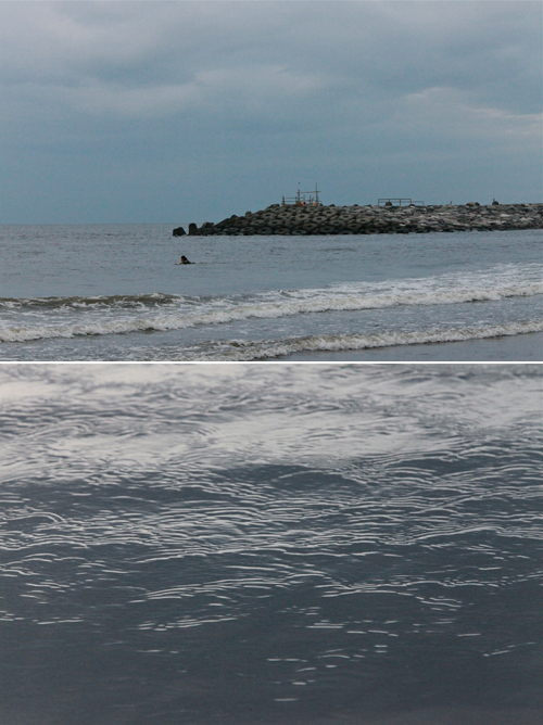 a0157069_959590.jpg