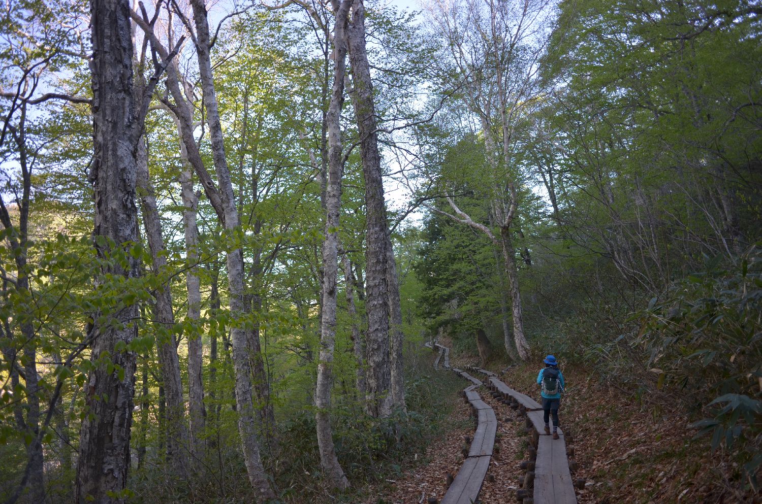 e0307372_22010222.jpg