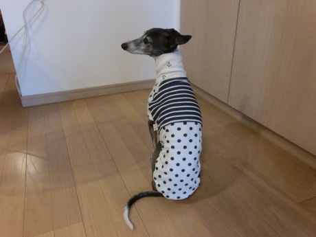 f0223972_16153340.jpg