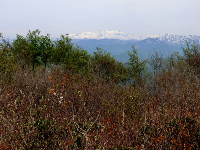b0185573_9573780.jpg