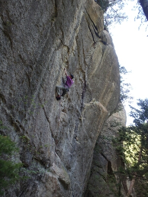 f0223480_654583.jpg