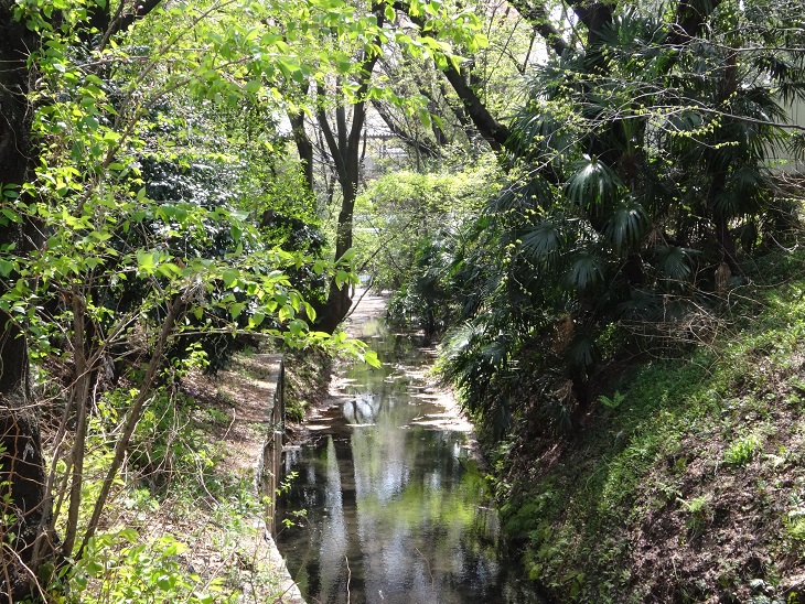 d0183387_16311081.jpg