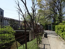 d0183387_16401599.jpg