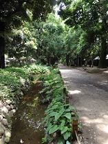 d0183387_17154833.jpg