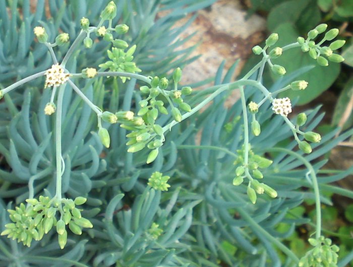 a0031000_18411585.jpg