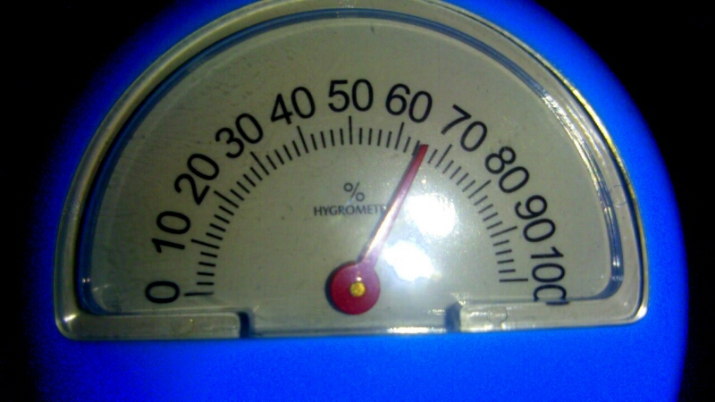 c0202101_15585895.jpg