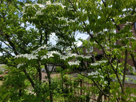 a0203003_1323372.jpg
