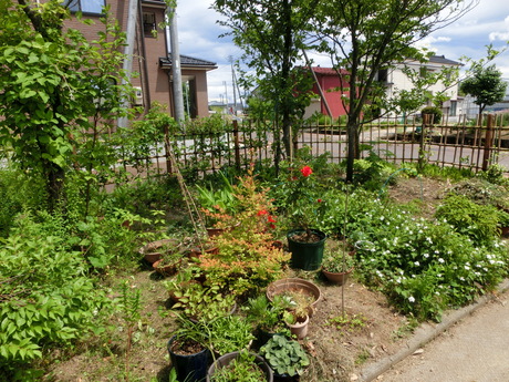 a0203003_14422666.jpg