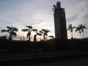 d0078311_107043.jpg