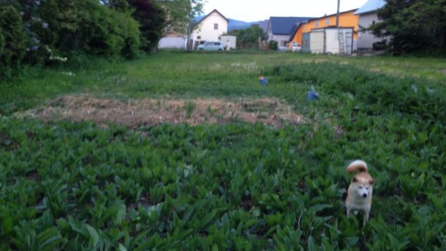 e0227023_10181774.jpg