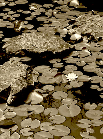 b0035734_17262364.jpg