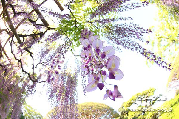 c0080036_0491477.jpg