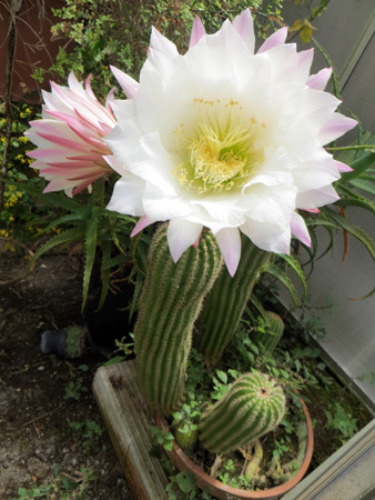 f0234936_4164067.jpg