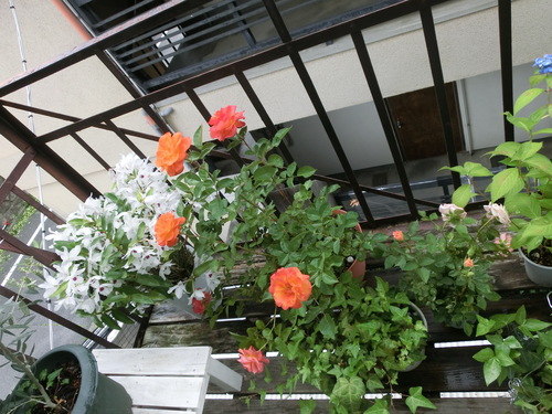 f0237037_13194113.jpg