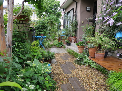 b0178339_08442143.jpg