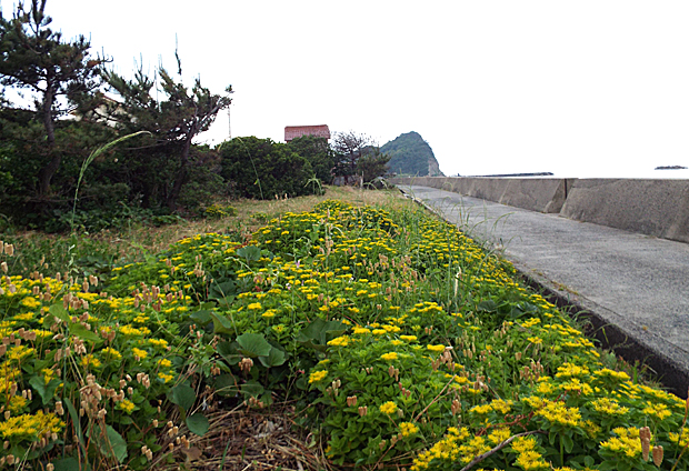 f0214649_4521146.jpg
