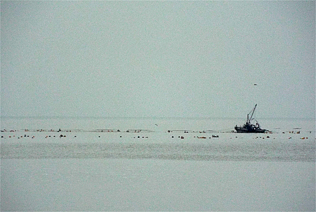 f0214649_4545945.jpg