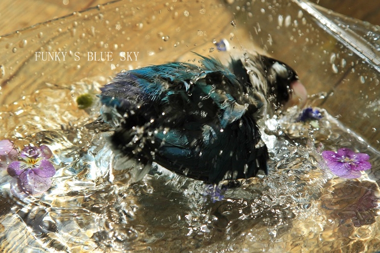 c0145250_104316.jpg