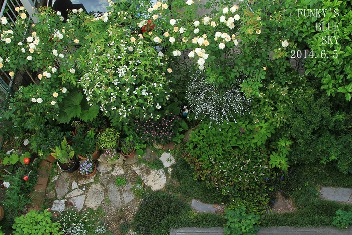 c0145250_1291794.jpg
