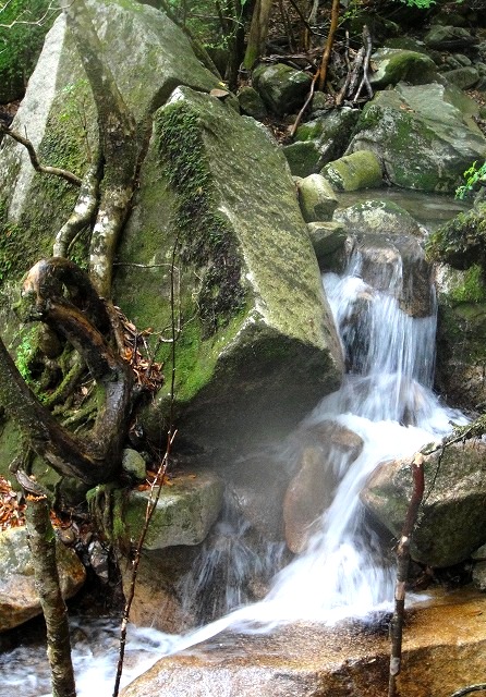 c0119160_5552016.jpg