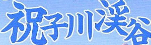 c0119160_555422.jpg
