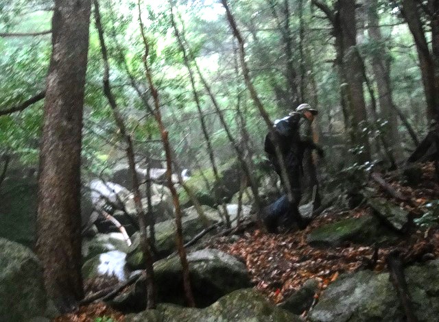 c0119160_6332999.jpg