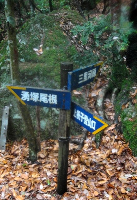 c0119160_6334567.jpg