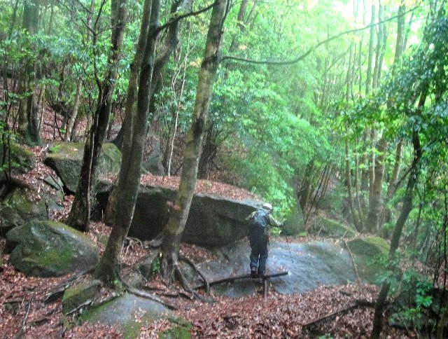 c0119160_713247.jpg