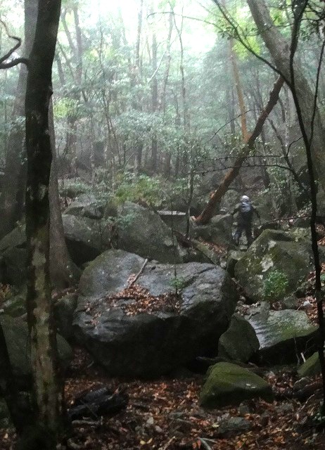 c0119160_75429.jpg