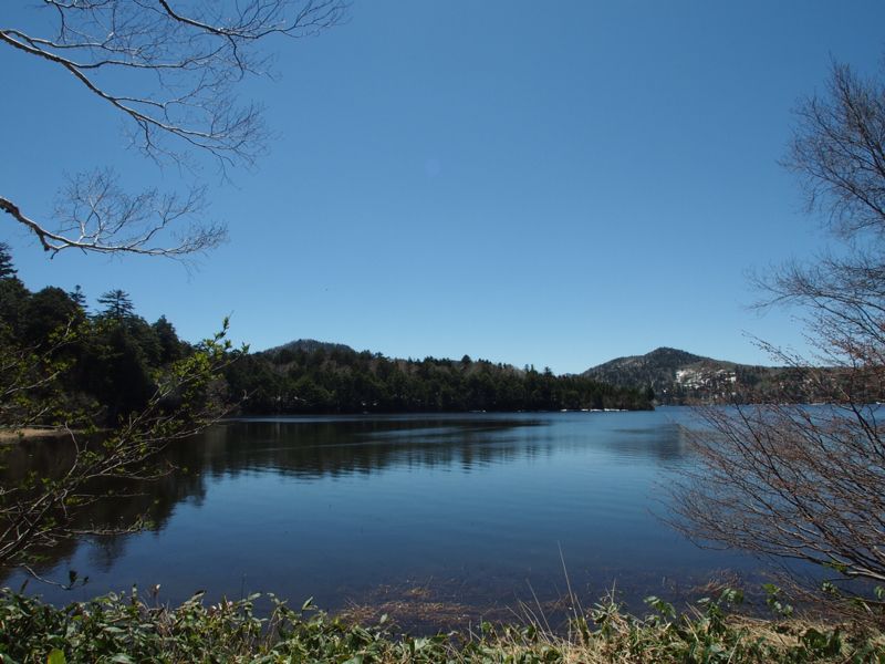 c0321967_2217595.jpg