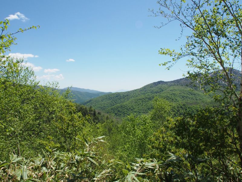 c0321967_22183263.jpg