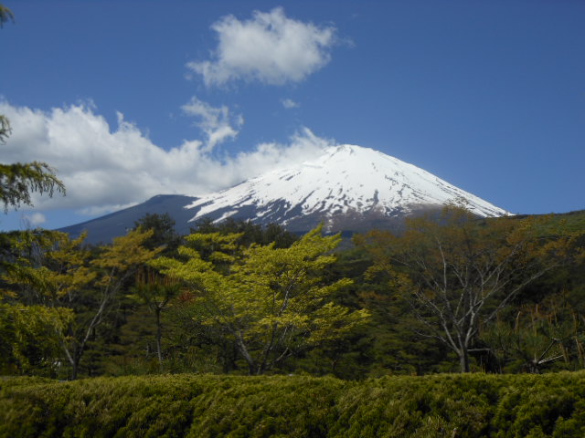 c0206177_1032464.jpg
