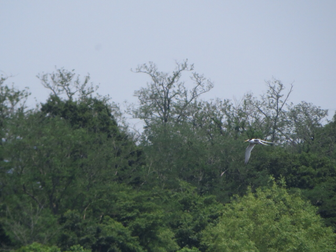 e0098079_175258.jpg